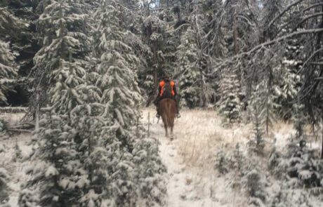 photo-of-rick-on-horse-in-snow-jared-burke-foundation